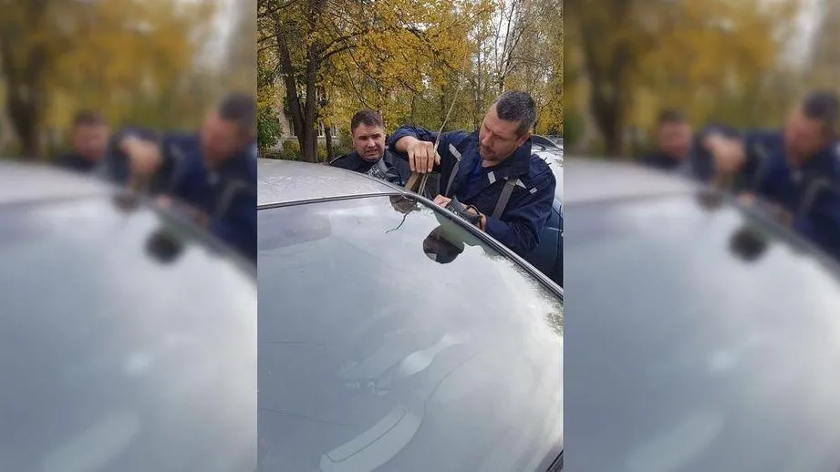 Фото: пресс-служба ГКУ МО «Мособлпожспас»