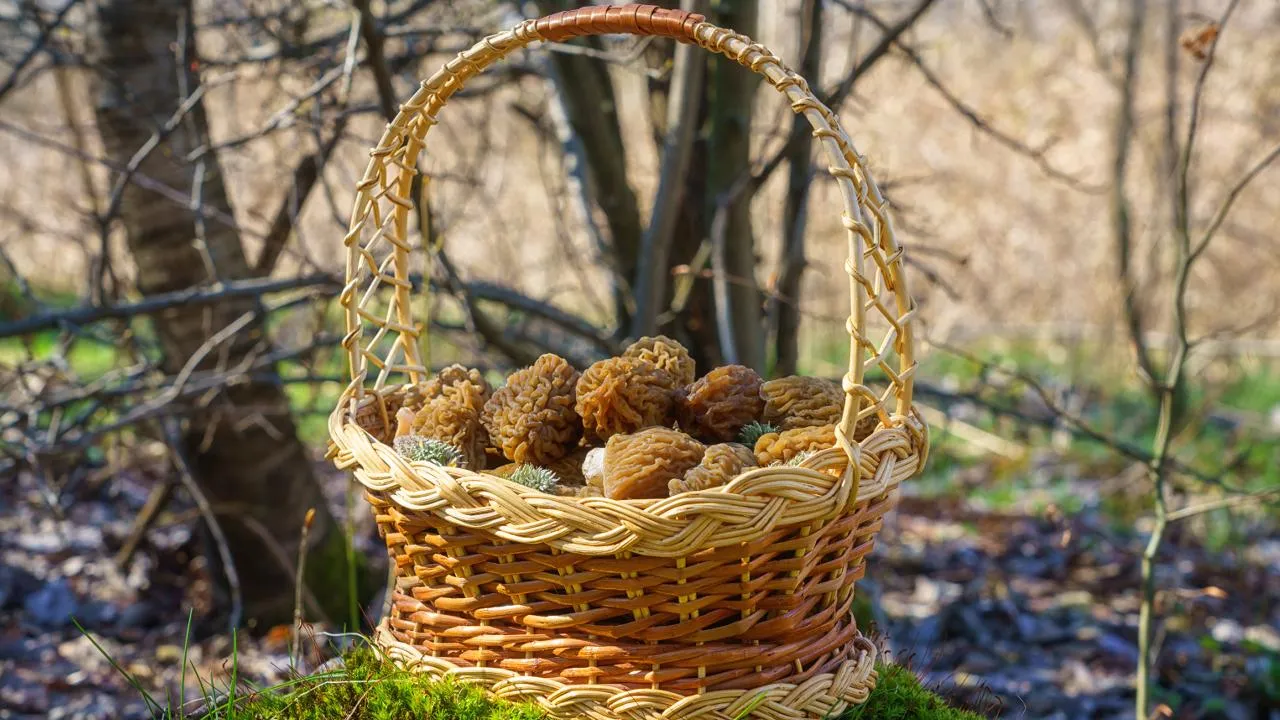 istockphoto.com/Lara_Uhryn