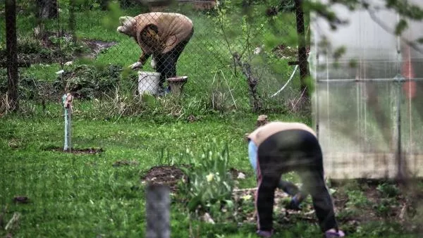 Владимир Песня / РИА Новости