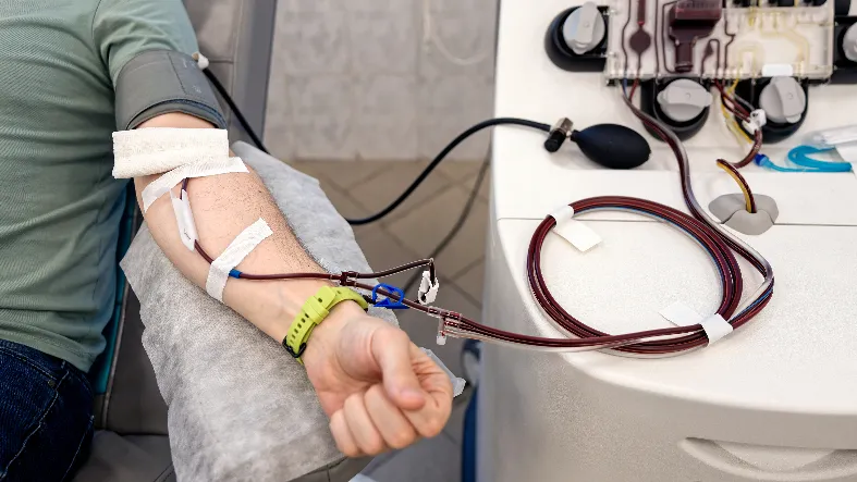 Фото: медиасток.рф