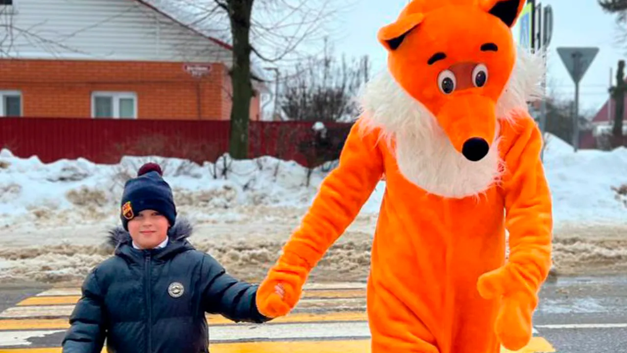 ОГИБДД ОМВД России «Зарайский»