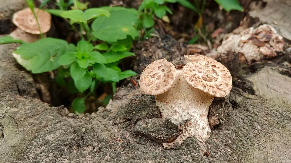 Фото: Иван Федулов