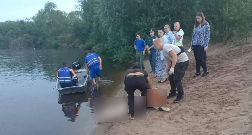 Семья из трех человек утонула во время купания в реке во Владимирской области