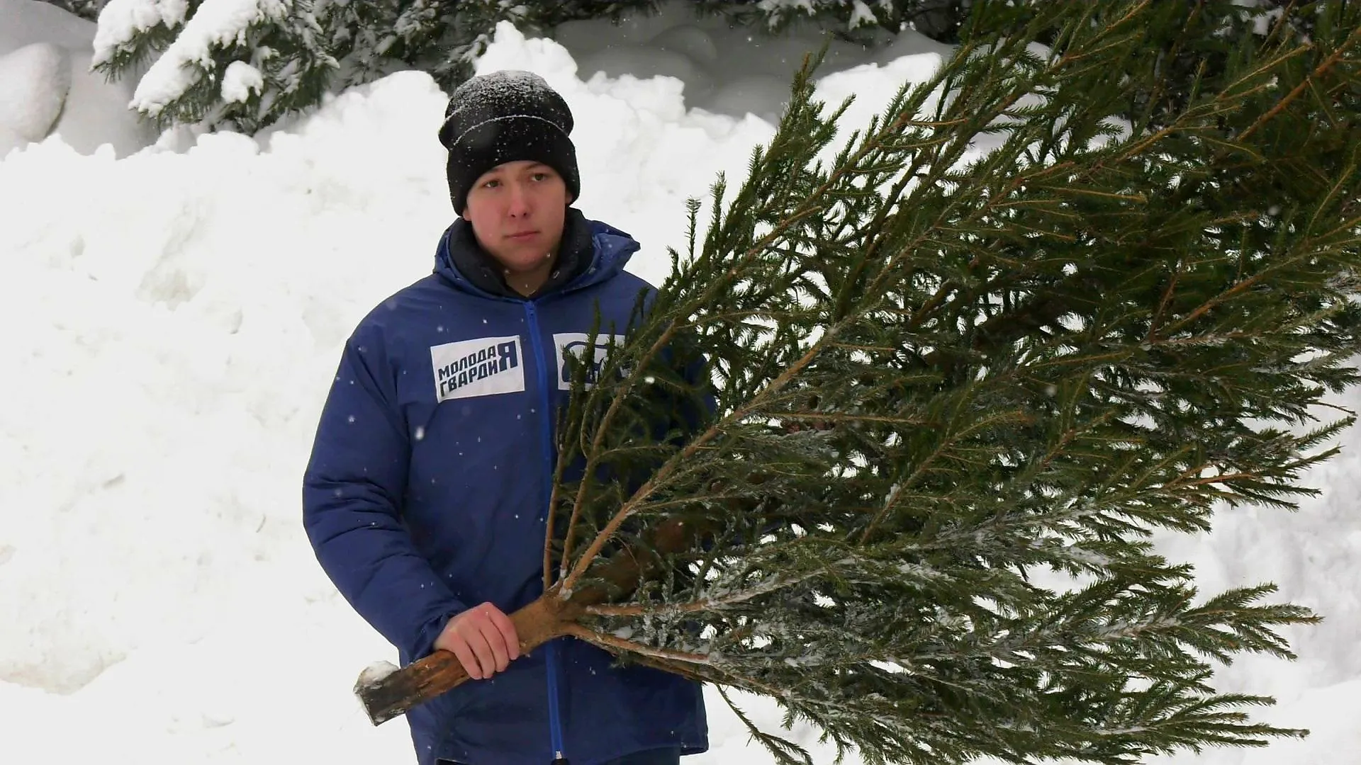 МедиаБанк Подмосковья/Юлия Андросова