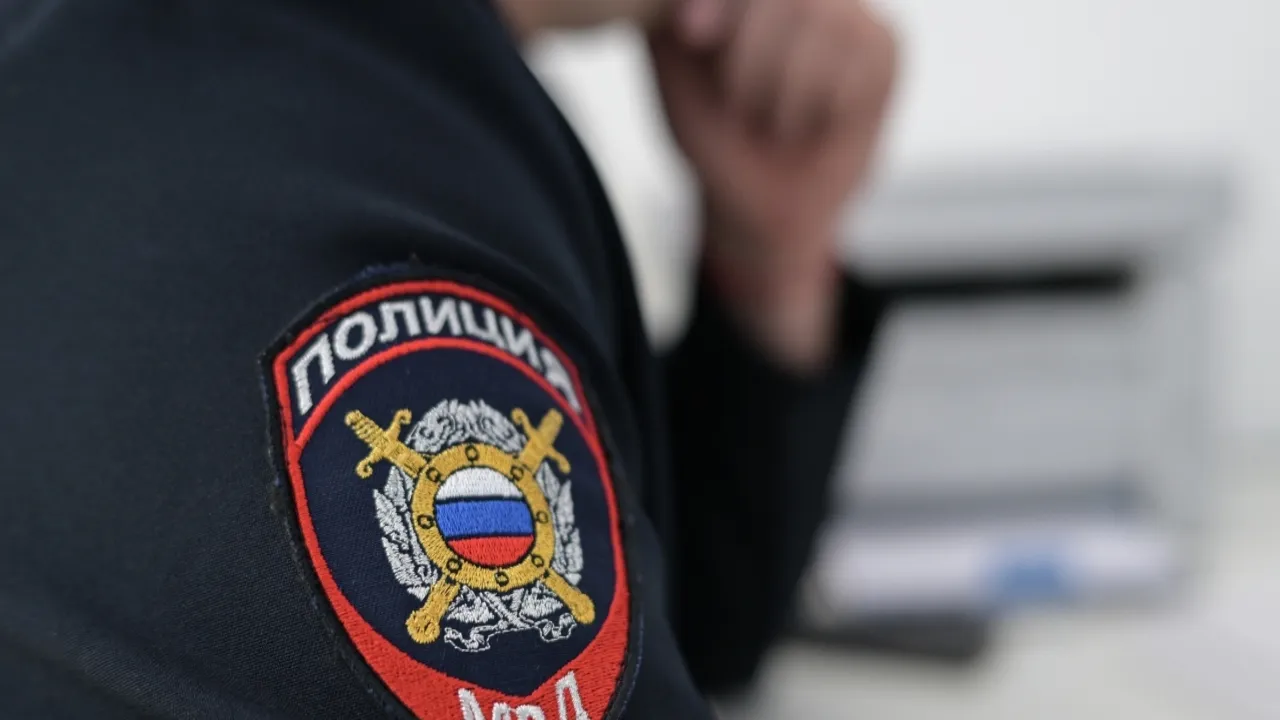 Фото: РИА Новости/Александр Кряжев