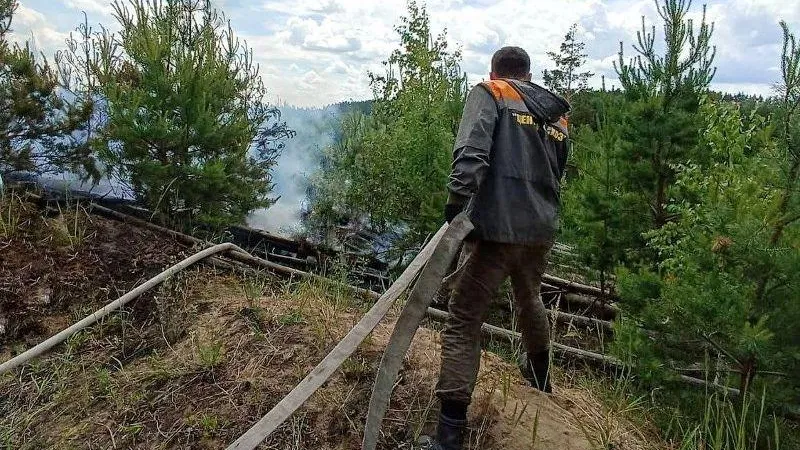 Пресс-служба Комитета лесного хозяйства Московской области