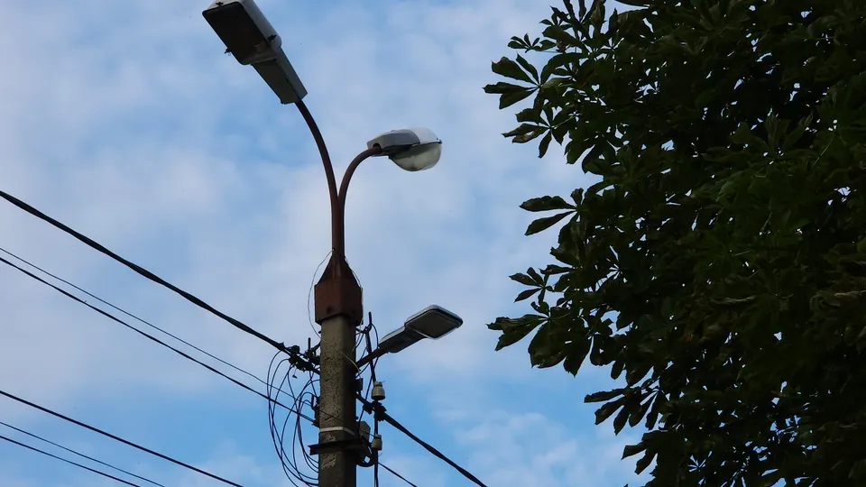 Фото: МедиаБанк Подмосковья/Валерия Тингаева