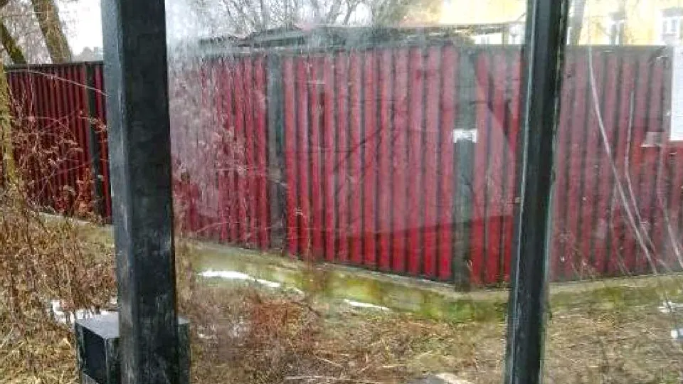 Фото: пресс-служба администрации г.о. Лосино-Петровский