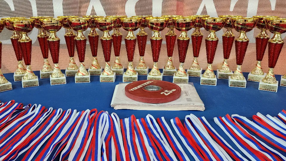 Фото: МедиаБанк Подмосковья/Ксения Пашуто