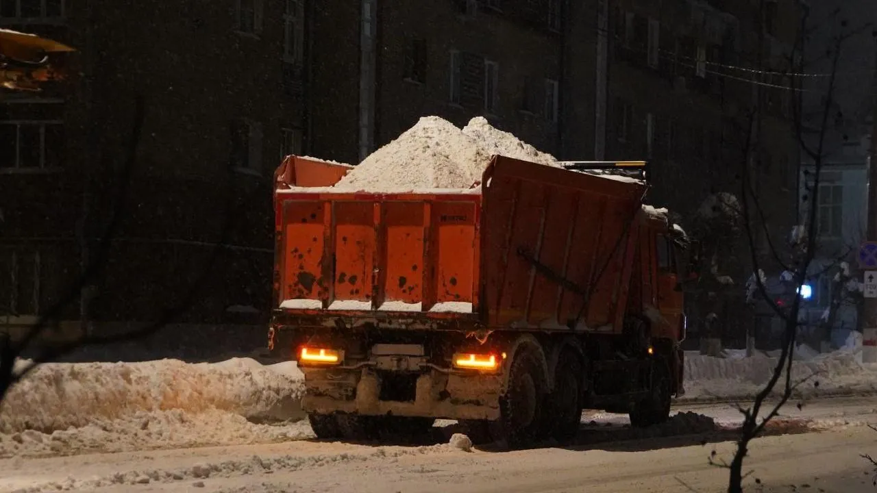 Алена Притула