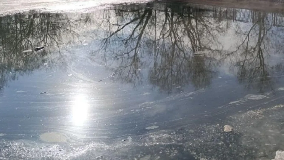 Фото: Минэкологии МО