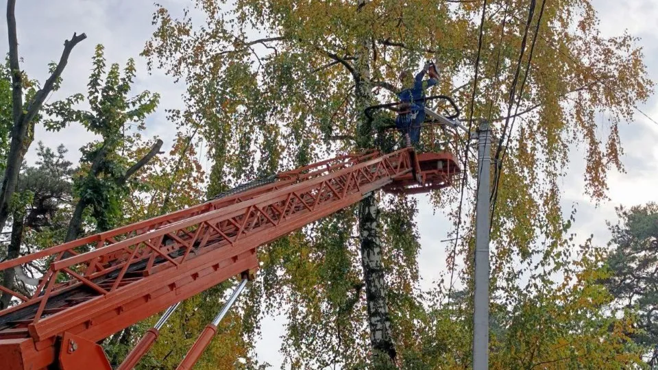 Фото: Министерство энергетики Московской области