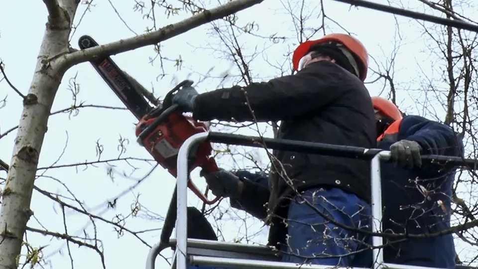 Фото: МедиаБанк Подмосковья/Данила Кирьянов