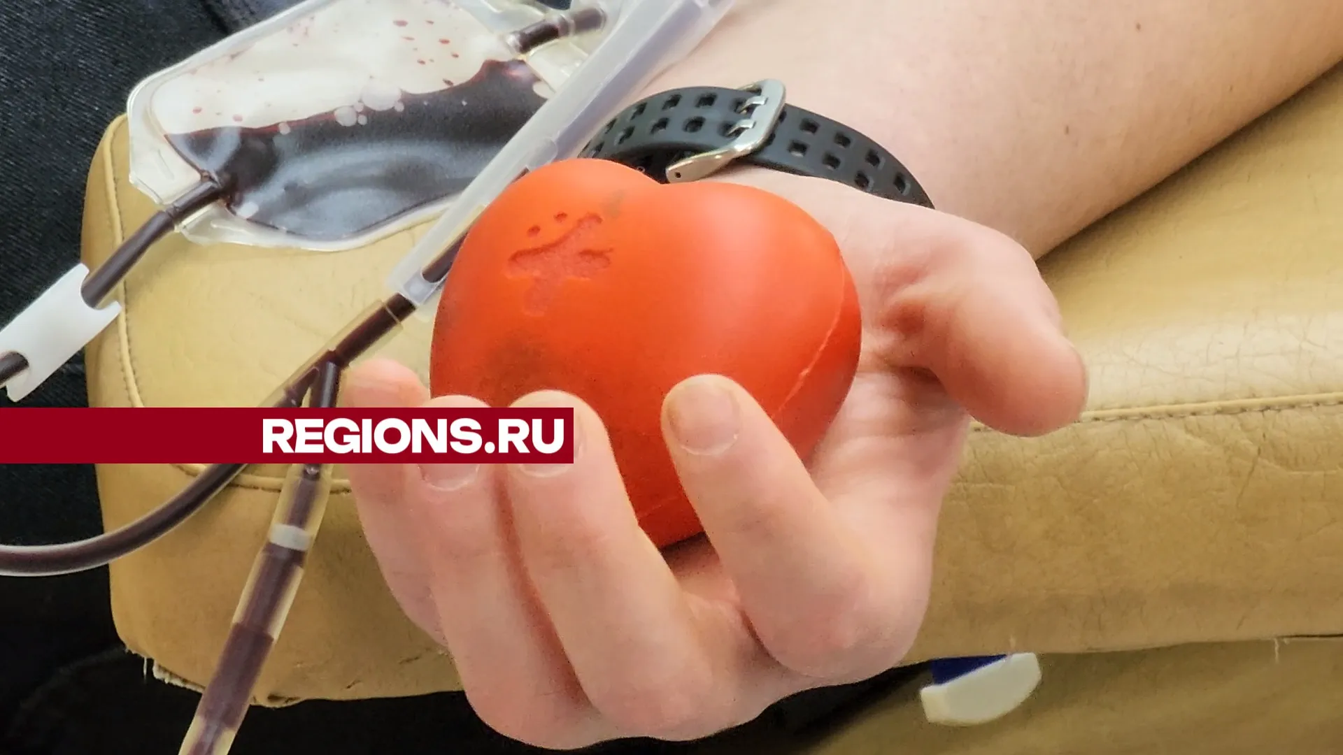 Фото: Никита Сморкалов