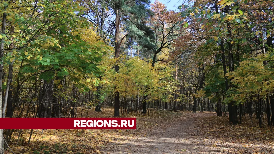 Фото: Алексей Грызлов