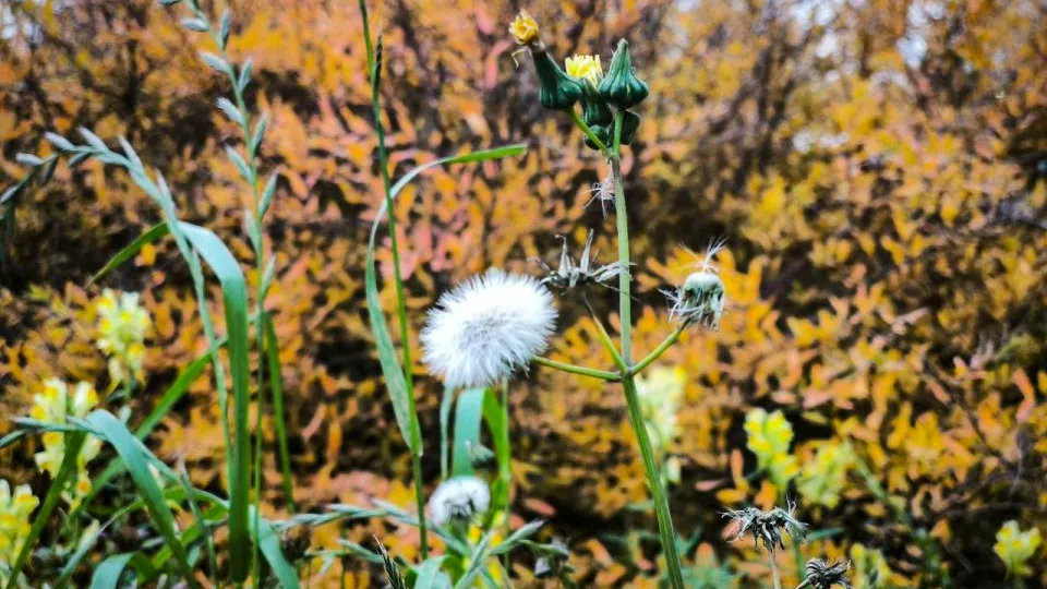 Фото: REGIONS/Роман Малышенко