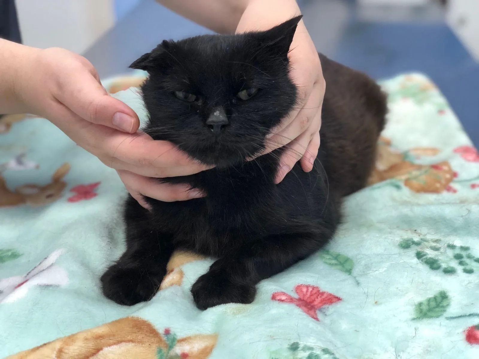 Фото: Татьяна М. / ВКонтакте