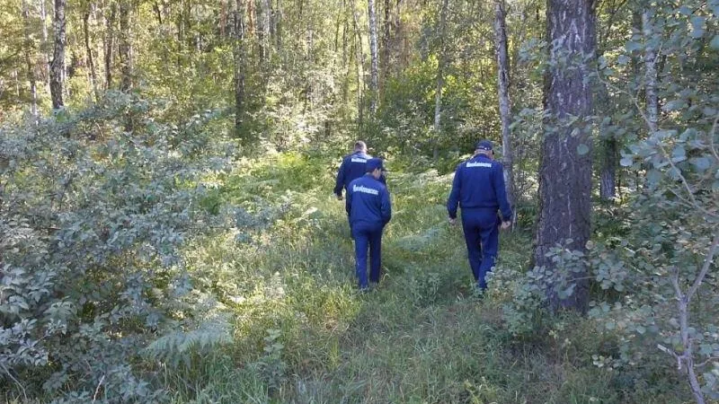 Более 150 человек вывели из лесов Подмосковья с начала года