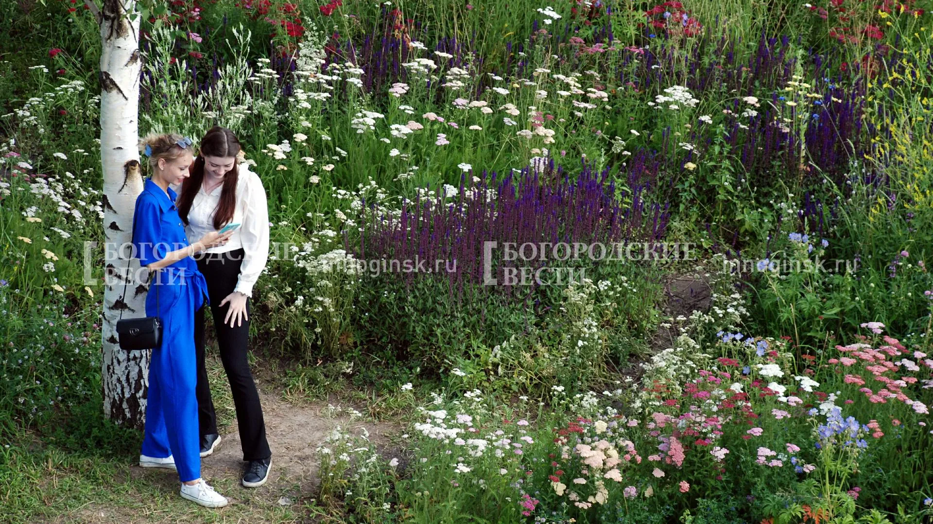 REGIONS/Александр Легкий