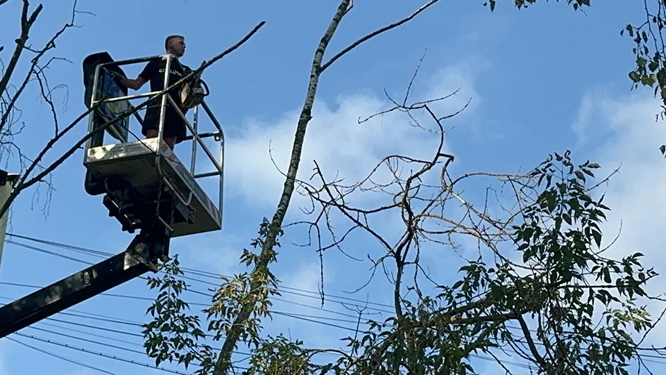 Фото: МедиаБанк Подмосковья/Евгения Герасимова