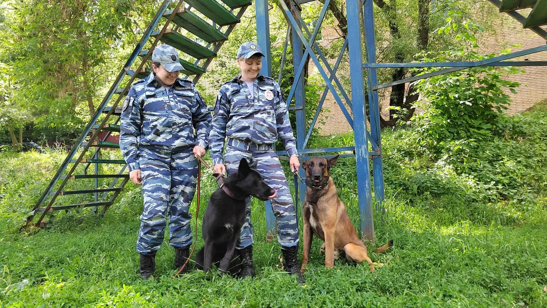 «Урок мужества» провели для сотрудников полиции в Городском округе Пушкинский