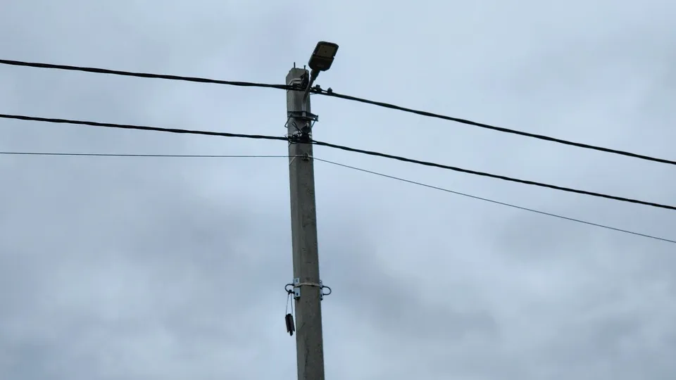 Фото: МедиаБанк Подмосковья/Анна Шолохова