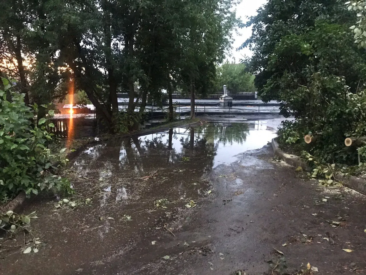 Фото: Михаил Моисеев