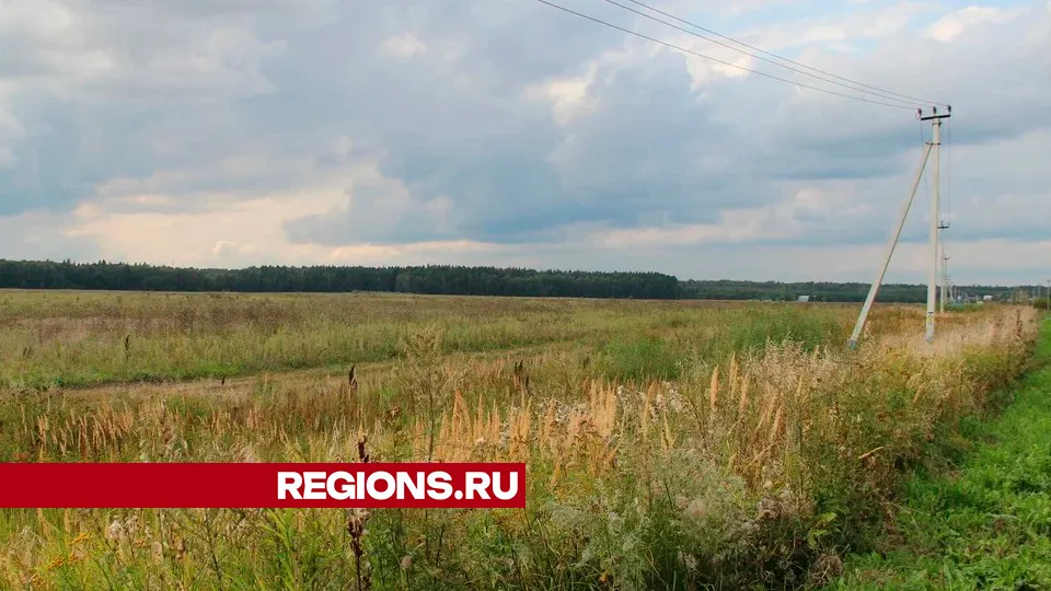 Фото: REGIONS/Василий Тремасов