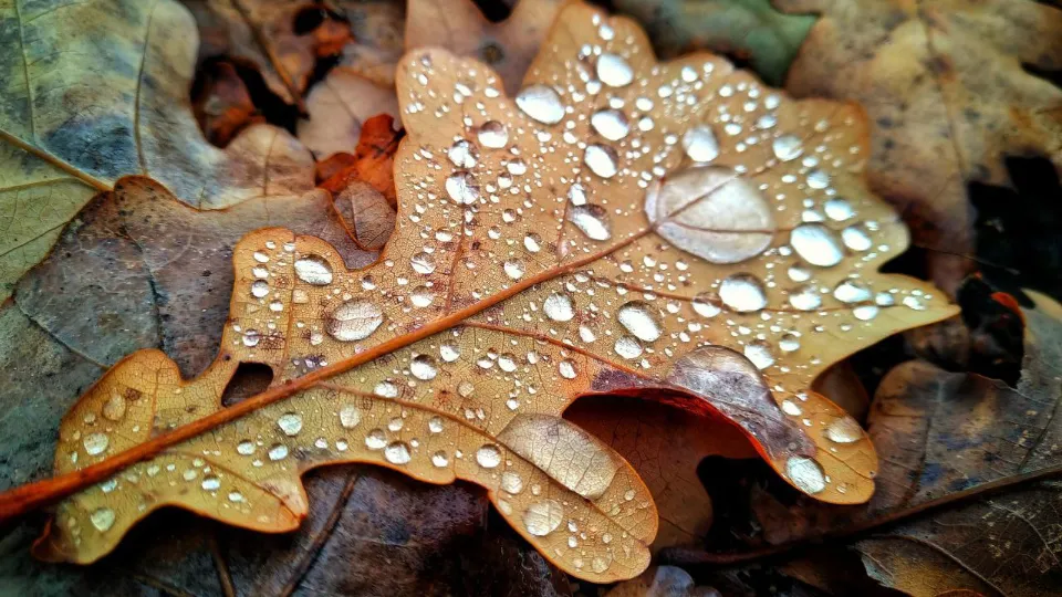 Фото: REGIONS/Эльвира Сафина