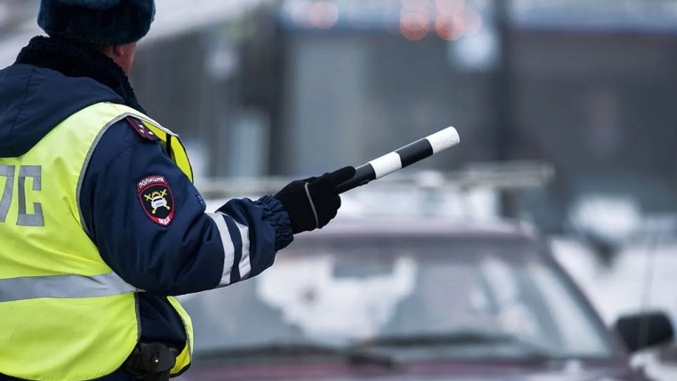 Фото: пресс-служба Госавтоинспекции по Московской области