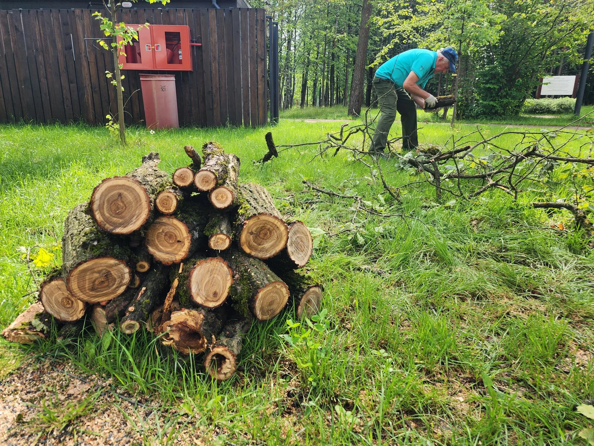 Крупные ветки утилизируют экологичным способом. Фото: Наталья Дорошева