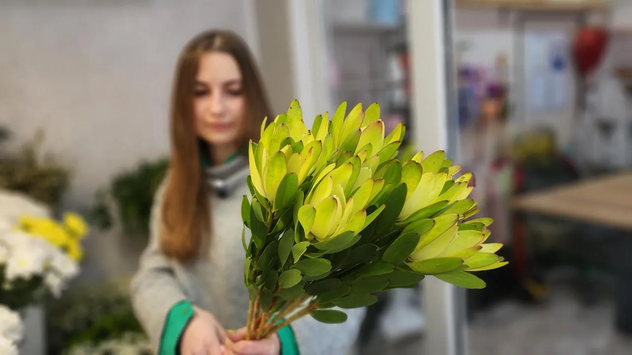 МедиаБанк Подмосковья/Екатерина Данилина