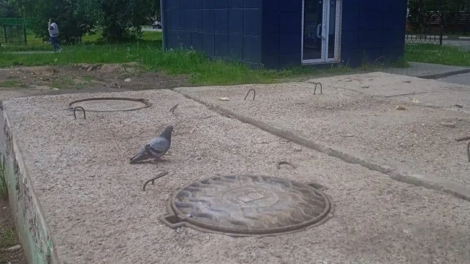 Фото: Администрация г.о. Чехов