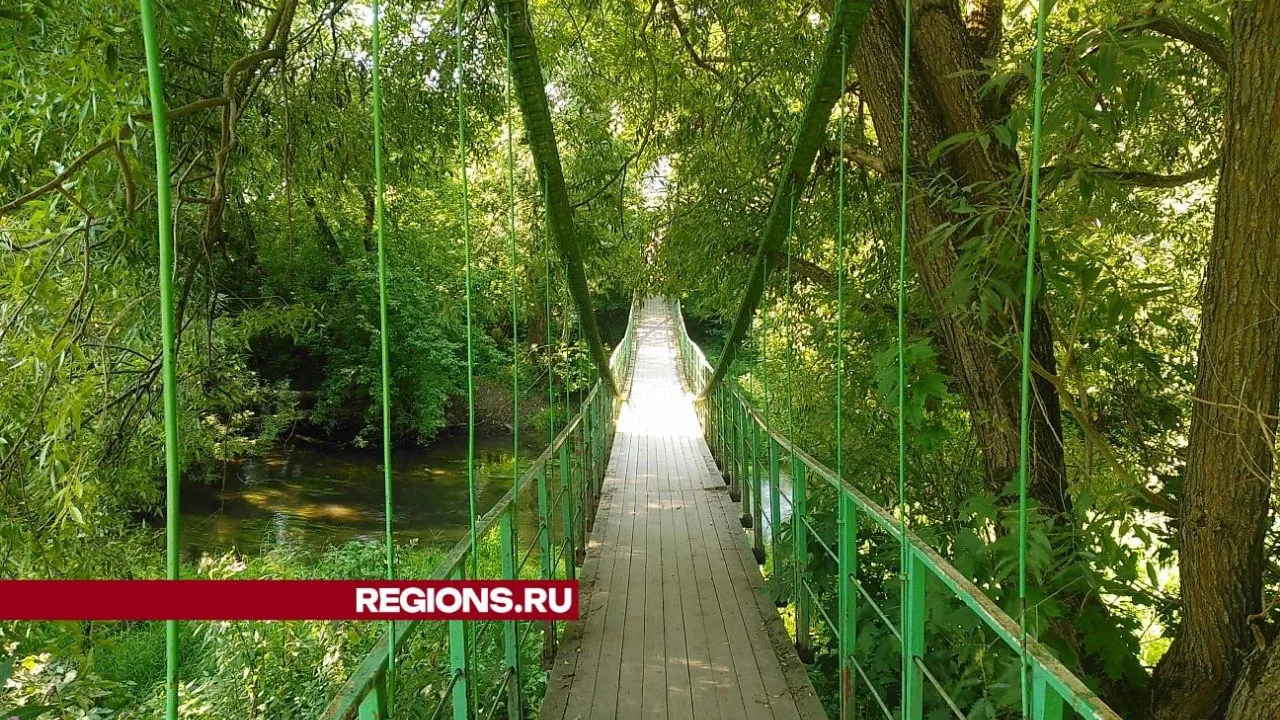 Фото: Елена Григорьева