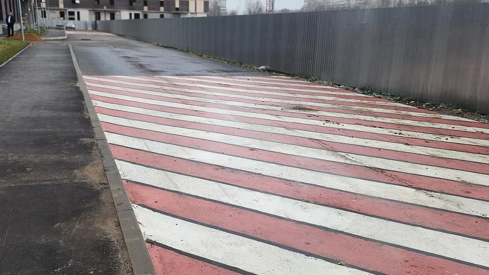 Фото: МедиаБанк Подмосковья/Анна Шолохова