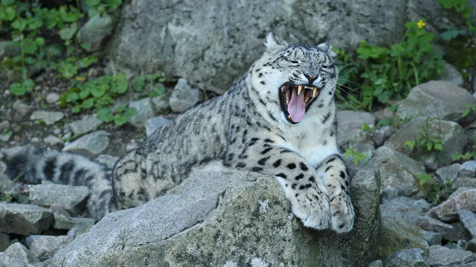 Фото: freepik.com