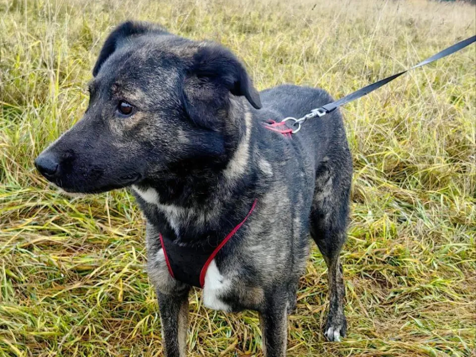 Фото: личный архив Юлия Ларина