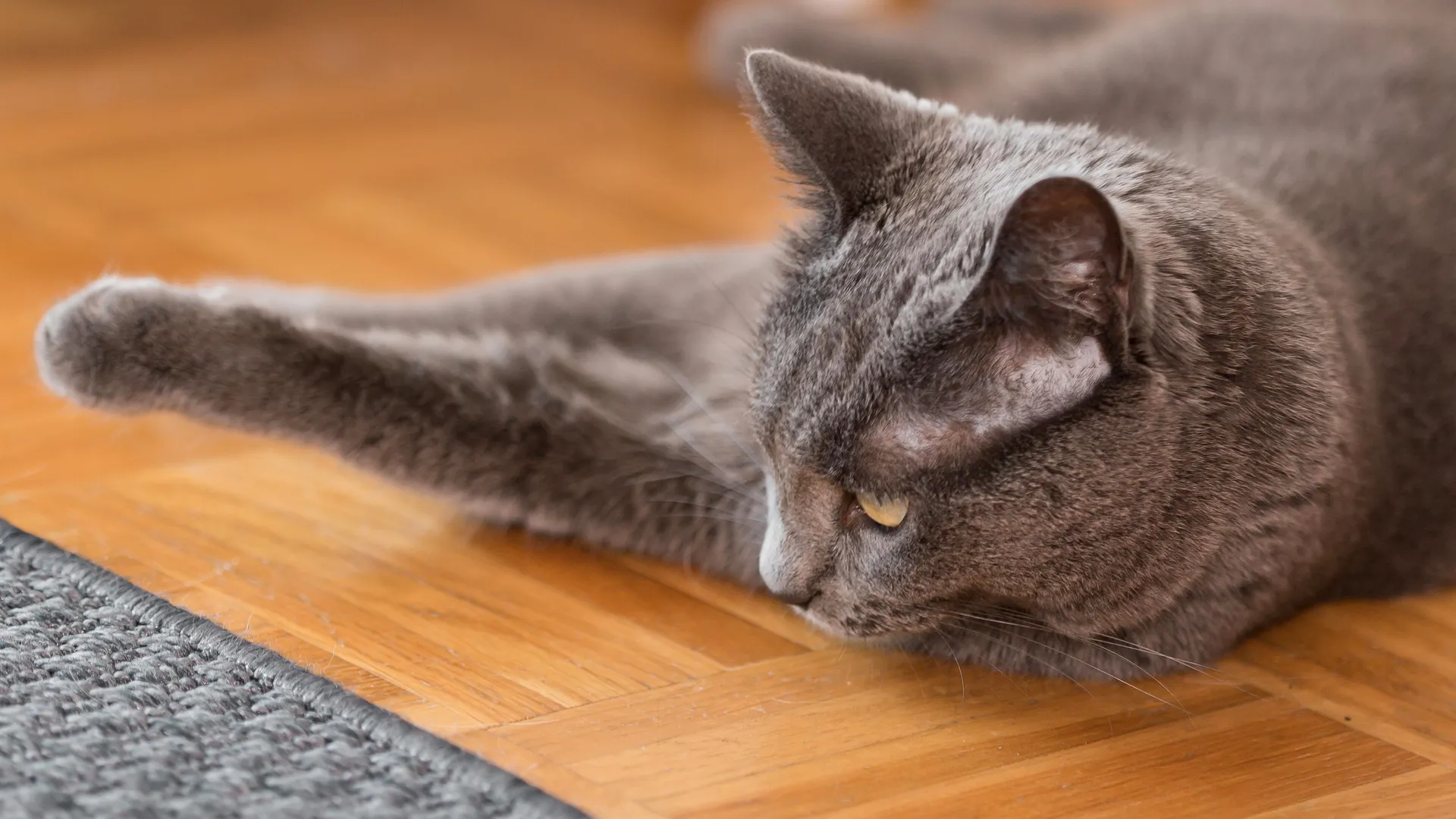 Фото: freepik.com