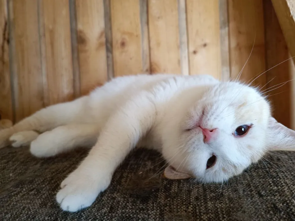 Фото: МедиаБанк Подмосковья/Яна Шаливская