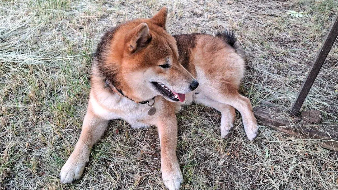 REGIONS/Юлия Габбасова