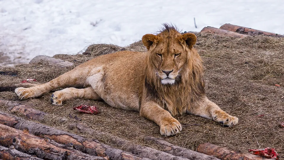 Фото: медиасток.рф