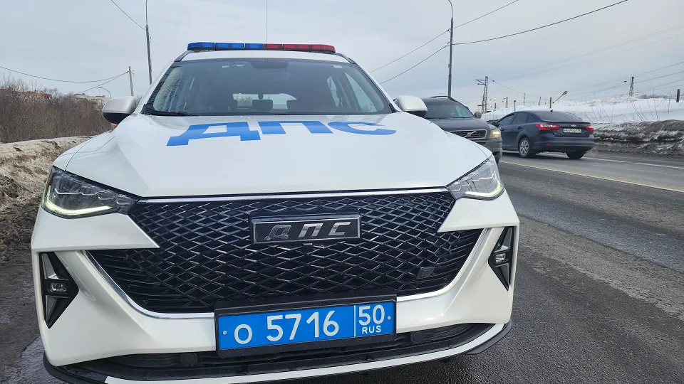 Фото: МедиаБанк Подмосковья/Ольга Сычева