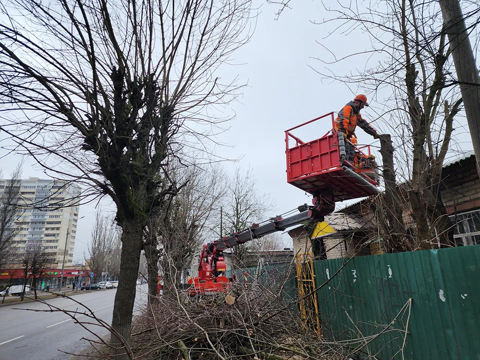 Фото: REGIONS/Александр Степушкин