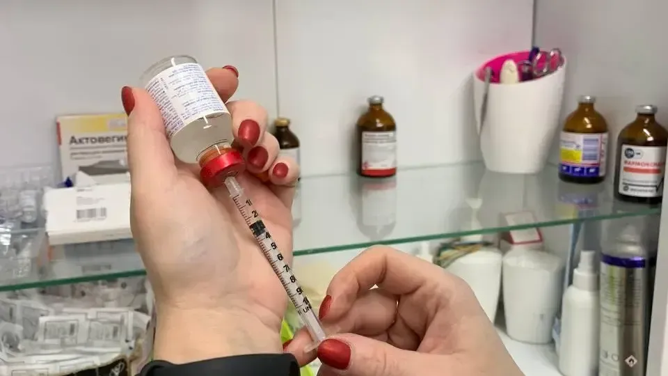 Фото: Елена Фурман