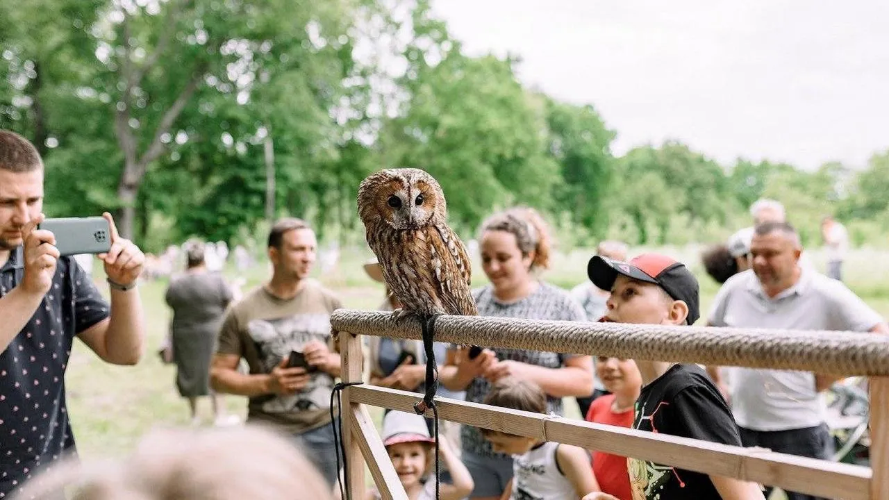 Экологический фестиваль «Птичьи трели» пройдет в Подмосковье