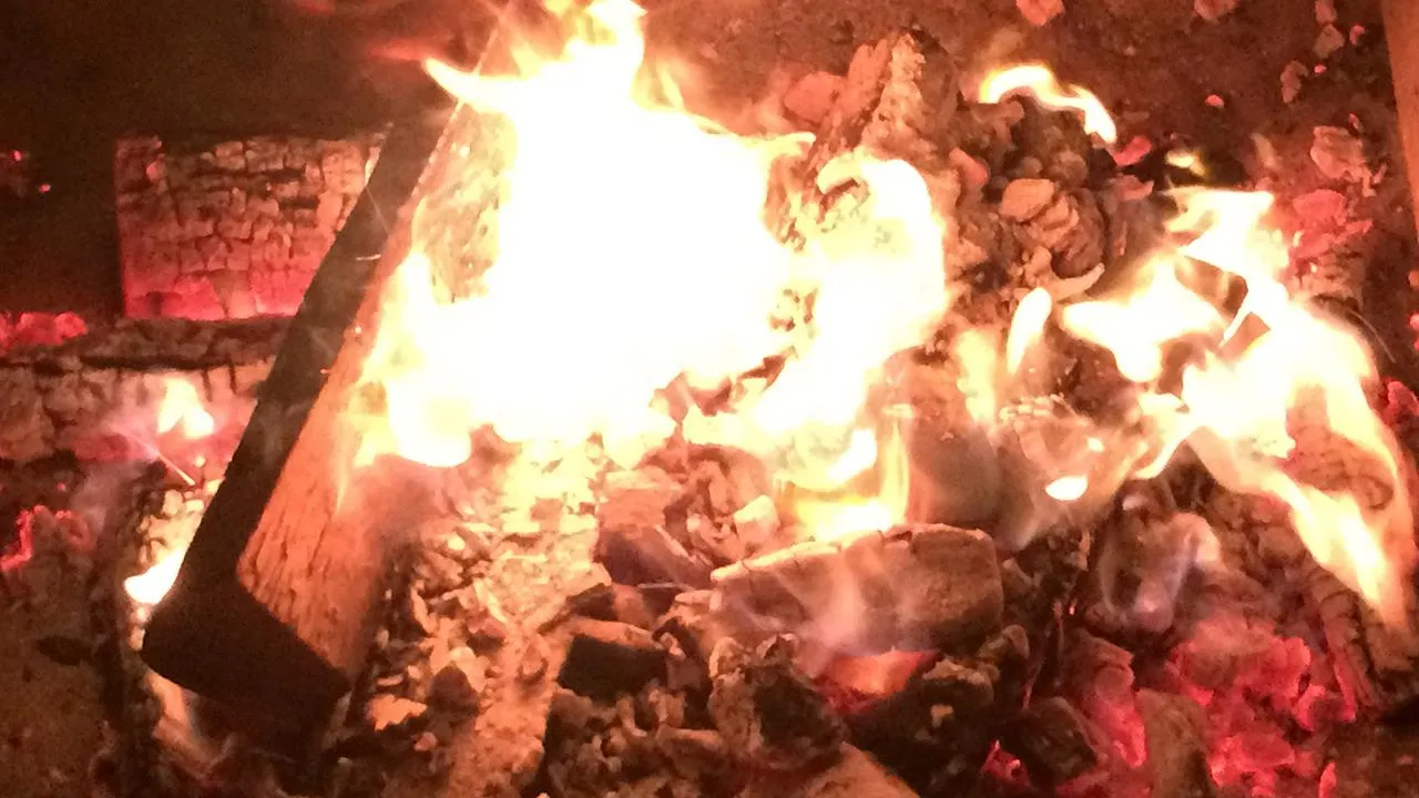 istockphoto.com/Steve Dunning