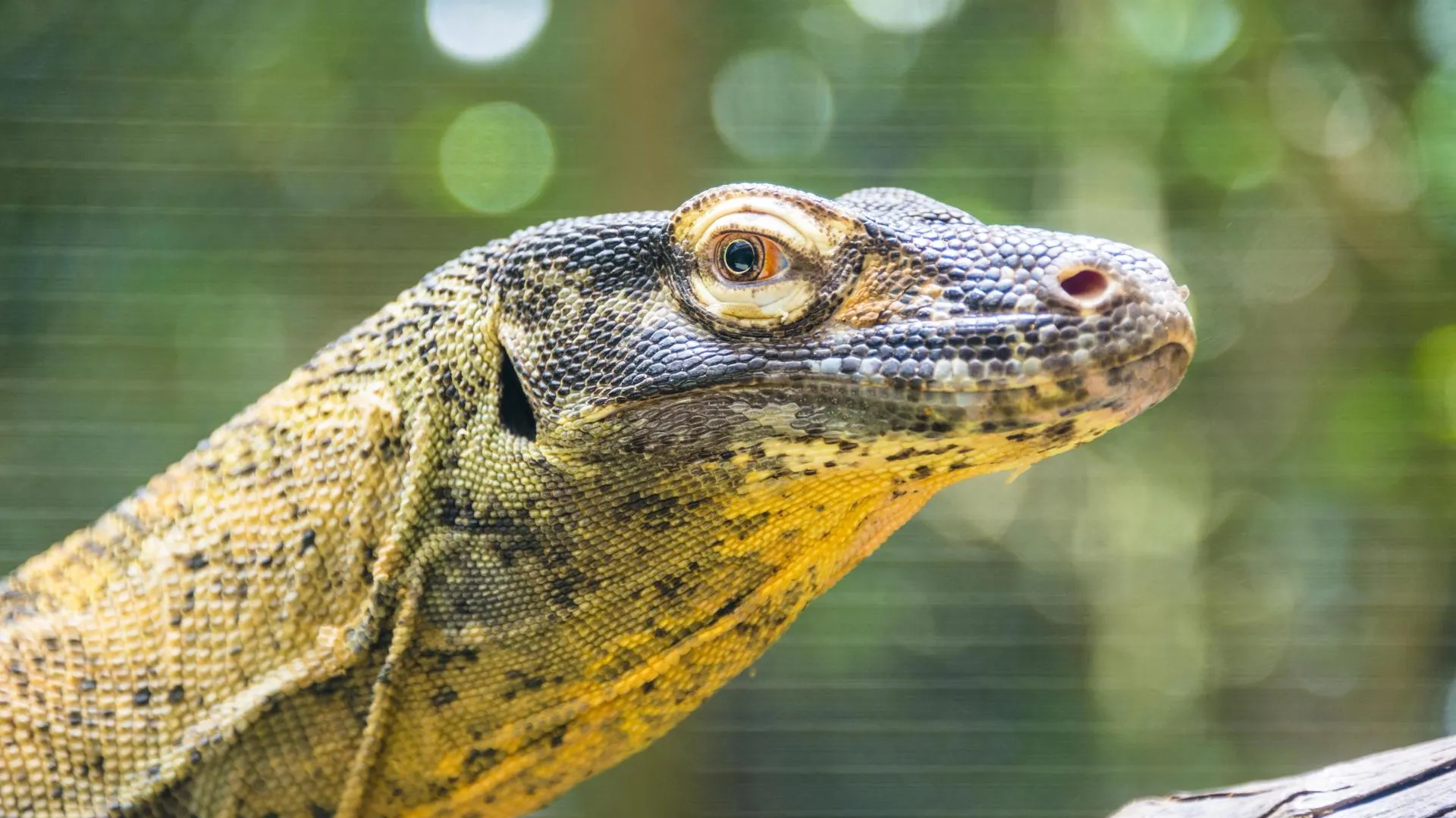 Valentin Wolf/imageBROKER.com