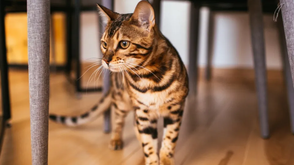 Фото: freepik.com