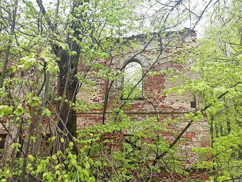 Фото: Подмосковье сегодня/Филипп Терец