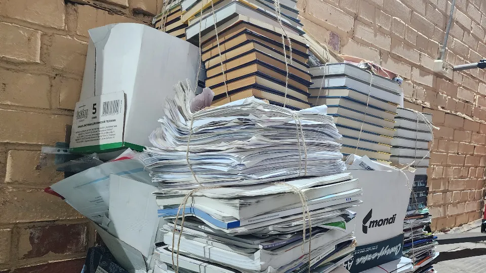 Фото: МедиаБанк Подмосковья/Ксения Пашуто